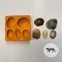 5 Seashells Silicone Mold