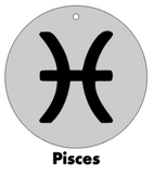 Zodiac Sign Silicone Mold