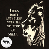 Lions Don't Lose Sleep